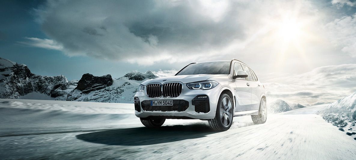 photo_in_container28281